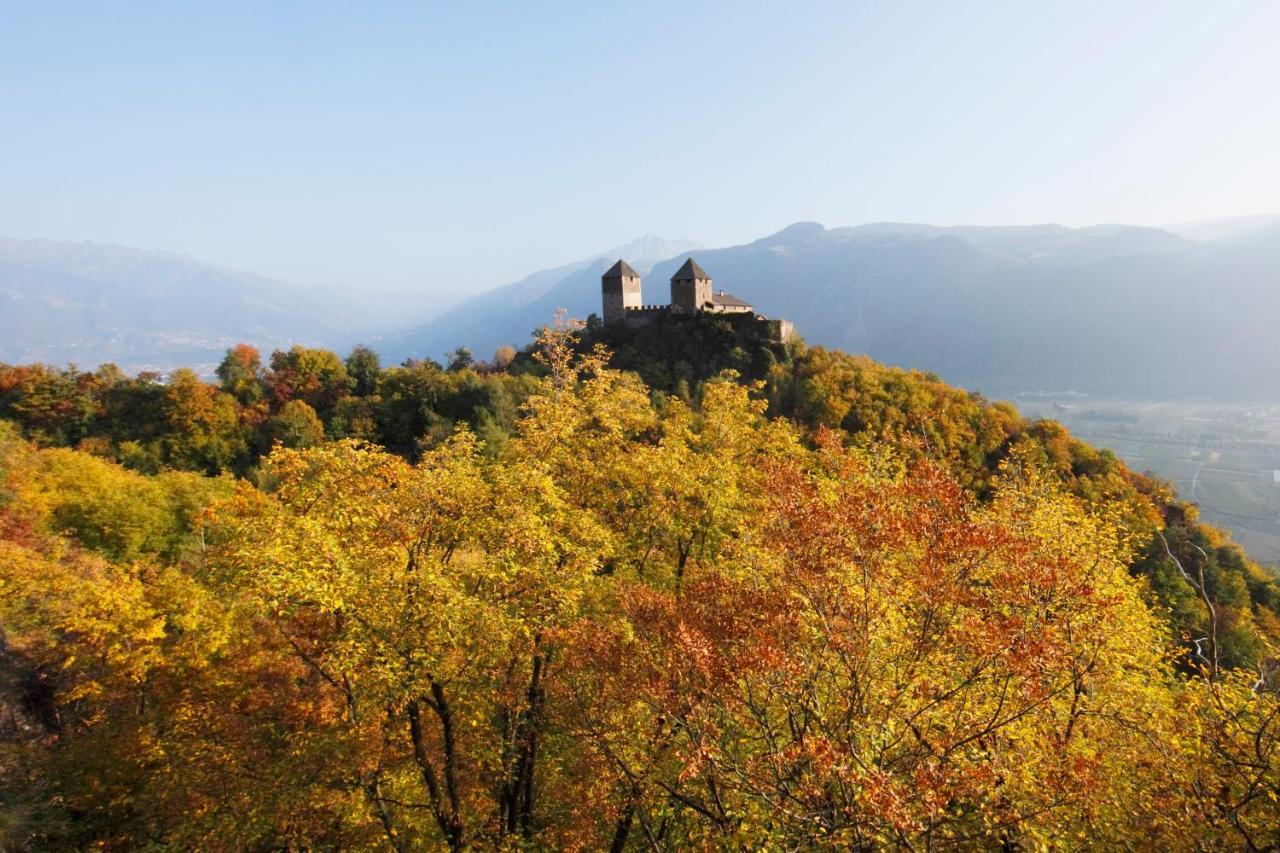 Panoramic Suites Winzerhoehe Шена Екстериор снимка