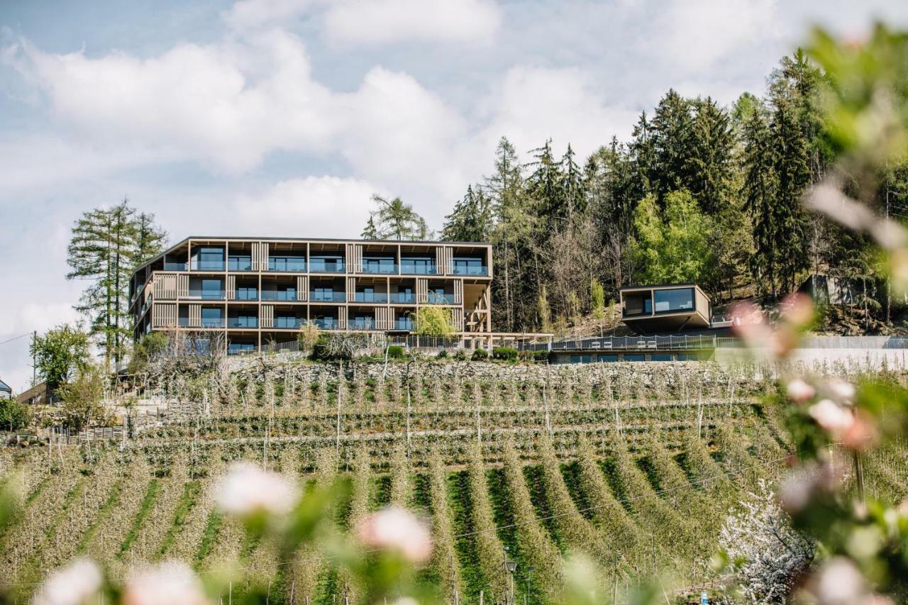 Panoramic Suites Winzerhoehe Шена Екстериор снимка